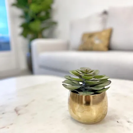 Tennessee Penthouse * 马拉加